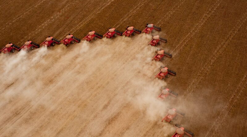 Recordes à vista; confira as projeções da Abiove para a soja