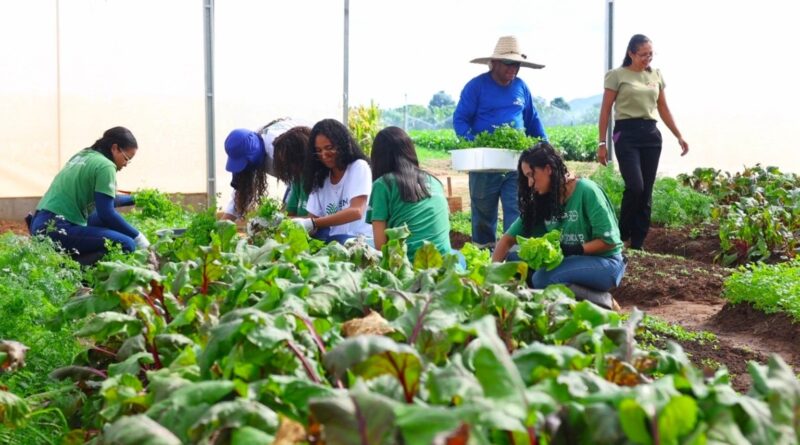 Fazenda Modelo capacita jovens e ajuda instituições sociais