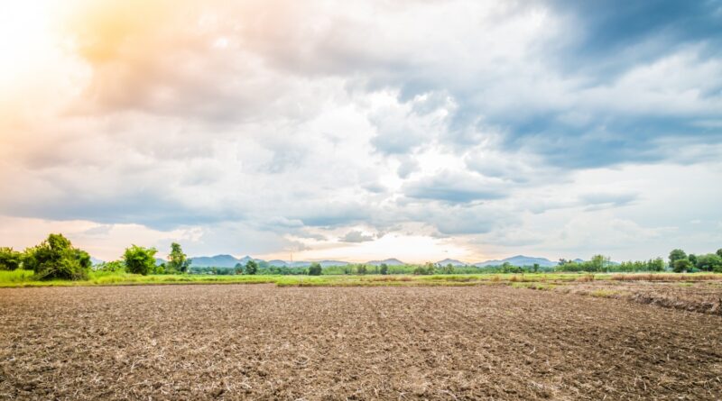 Adab inicia Vazio Sanitário da Soja na Bahia com medidas inéditas