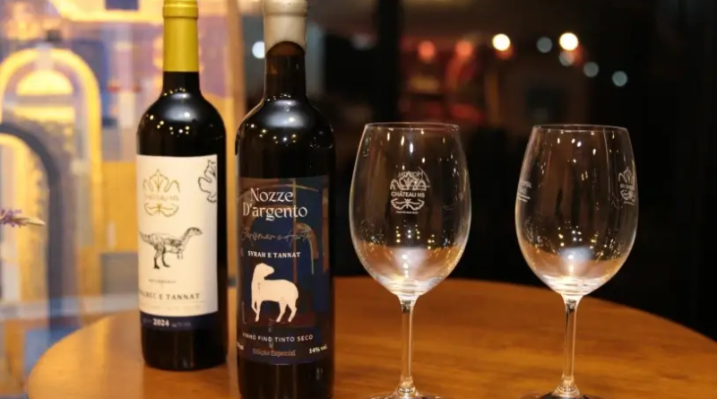 Vinhos finos da Vinícola Château HS