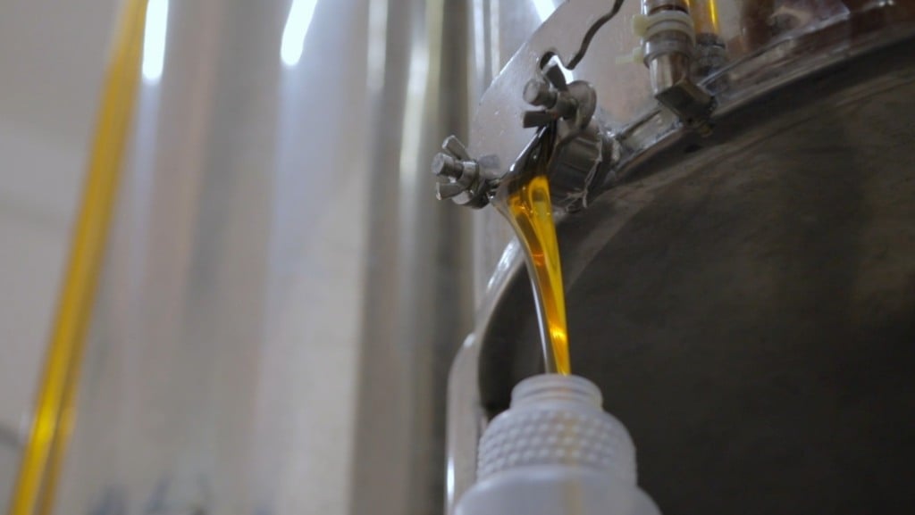 produção, agroindústria, mel, apicultura