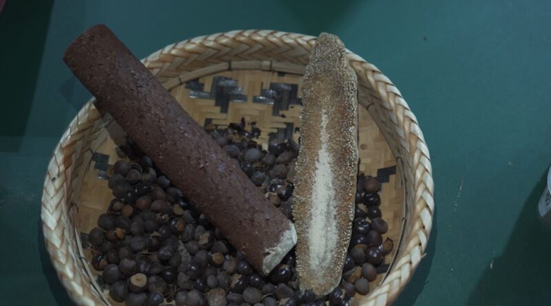 Guaraná de Maués movimenta a economia e preserva a floresta amazônica