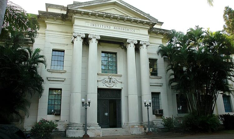 Instituto Agronômico de Campinas (IAC)
