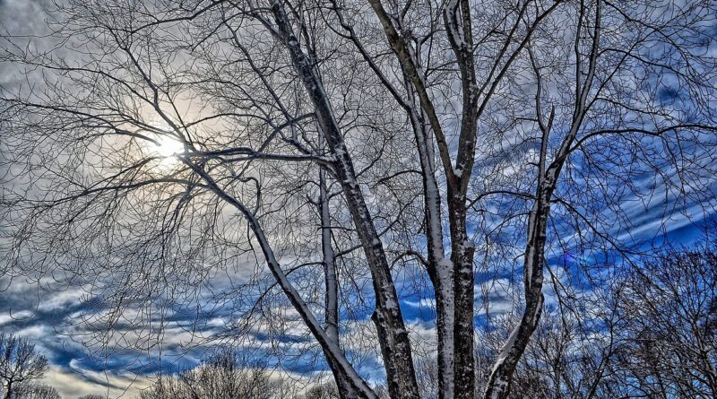 Inverno no RS terá geadas, frio intenso e... mais chuva! Veja previsão