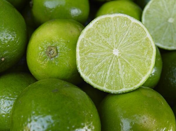 limão tahiti, chuvas