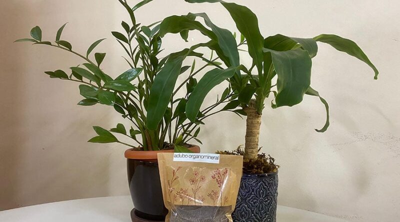 Fertilizante sustentável; vasos