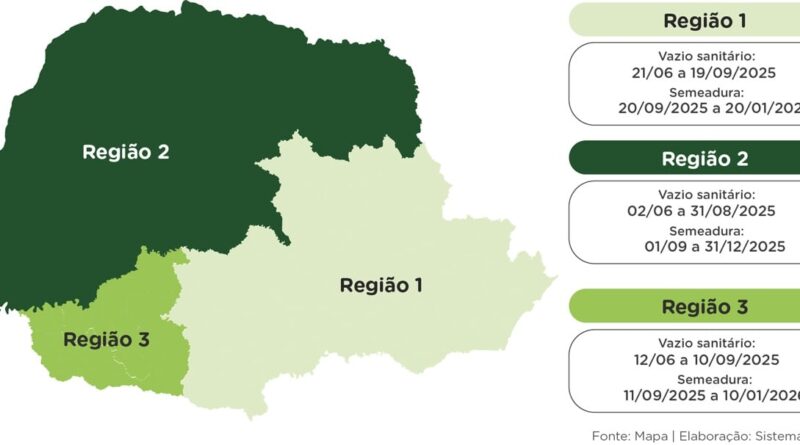 Vazio sanitário da soja 2025 no PR está em vigor