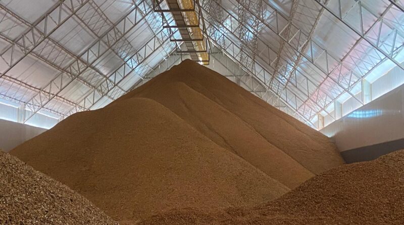 Festas Juninas impulsionam o empreendedorismo rural