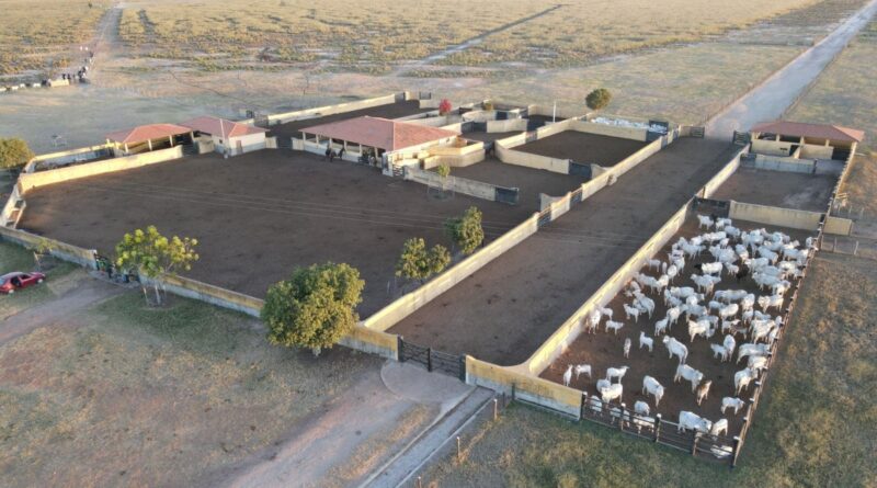 Santa Rita de Cássia realiza 2º Encontro Técnico de Pecuaristas