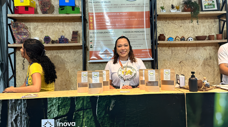 Casca de pequi gera renda no Cerrado piauiense