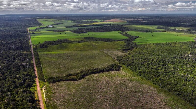 Amazônia Legal