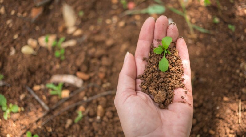 Quais práticas de sustentabilidade você já implementou em sua propriedade?
