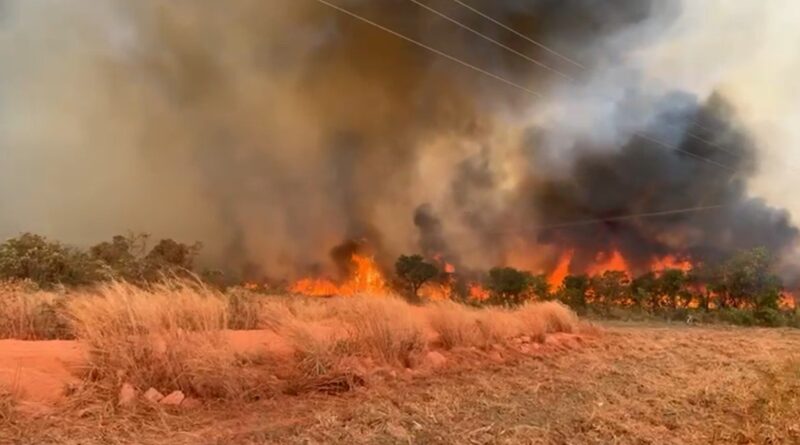 Câmara aprova aumento de punição a quem provocar incêndios florestais