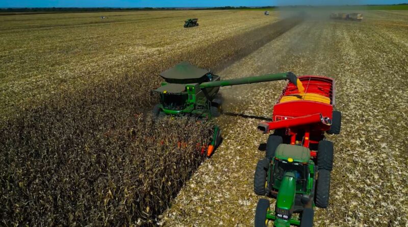 programa especial mais milho leandro balbino canal rural mato grosso1