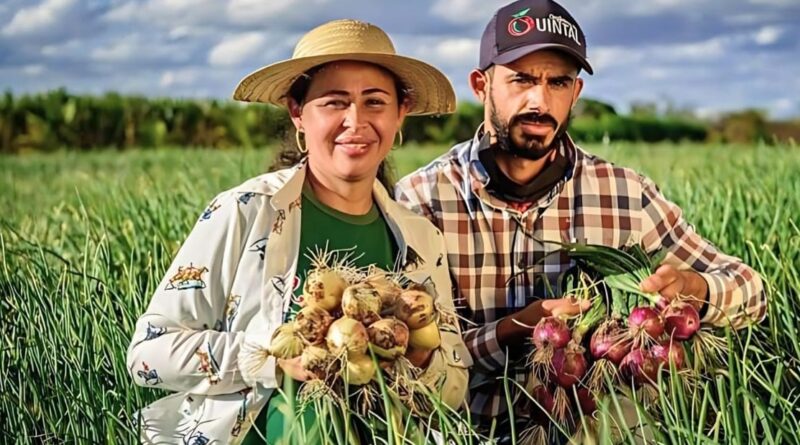 irmãos mostram a força da produção agroecológica