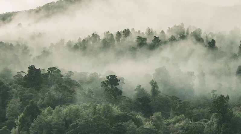 nebulosidade - tempo - frente fria