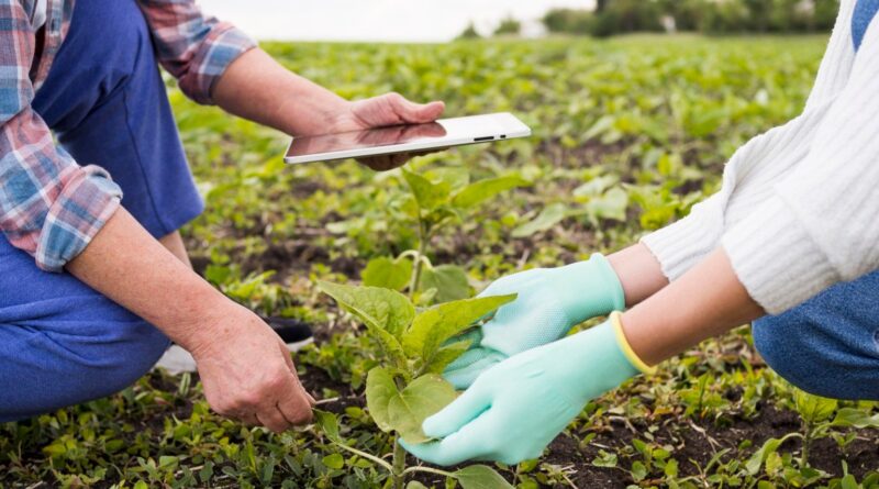 O cooperativismo é um caminho para pequenos empreendedores rurais?