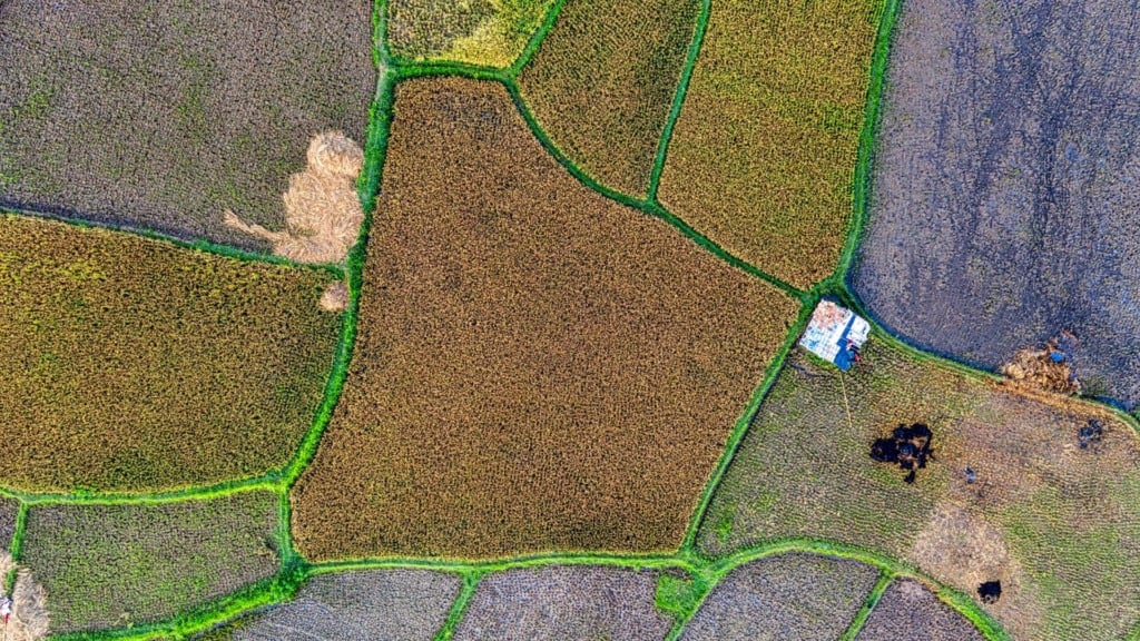 Propriedade rural. Foto: Canva