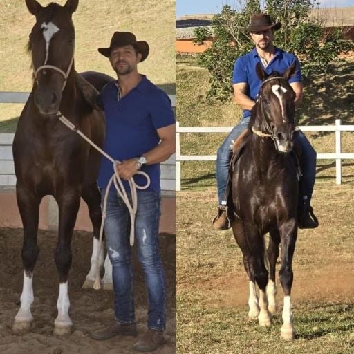 Quantum e o criador Luciano