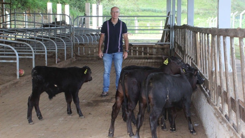 O pesquisador Luiz Sérgio de Almeida Camargo, da Embrapa Gado de Leite (MG), com os bezerros geneticamente editados. Foto: Rubens Neiva/Embrapa Gado de Leite