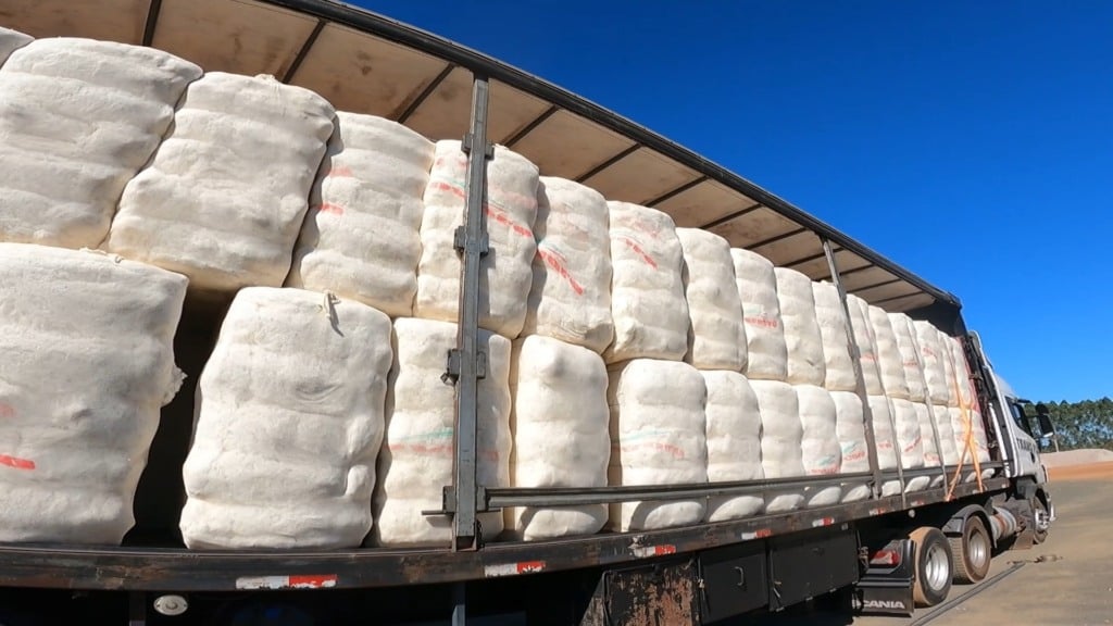 associativismo no algodão