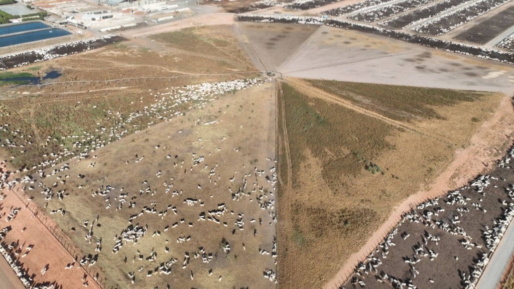 Vista aréa do confinamento de bovinos de corte da Captar Agrobusiness em Luis Eduardo Magalhães (BA). Foto: Divulgação/Captar Agrobusiness