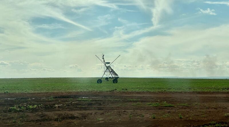 Brasil cria grupo de trabalho para ampliar investimentos agropecuários com Angola