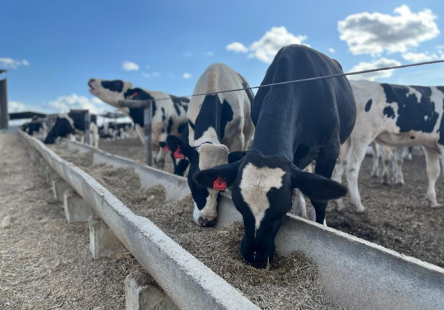 CNA realiza encontro para mapear custos da produção de leite