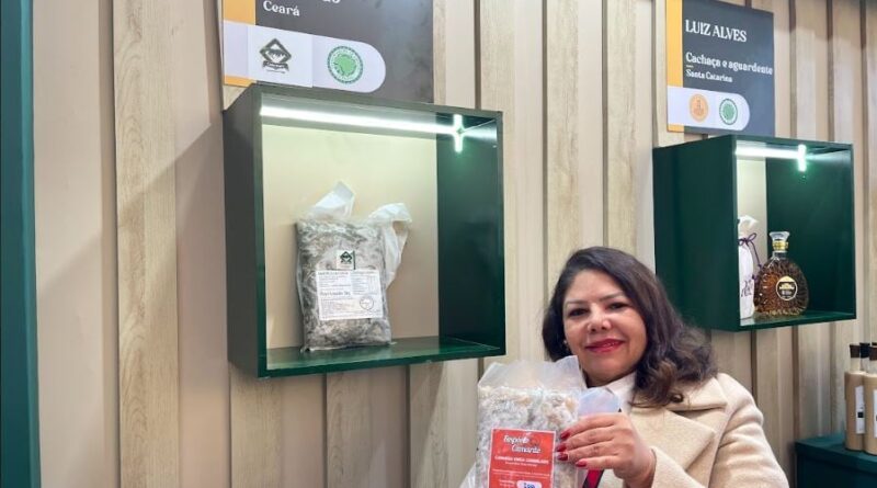 Socorro Lima, advogada. Foto: Elaine Bento