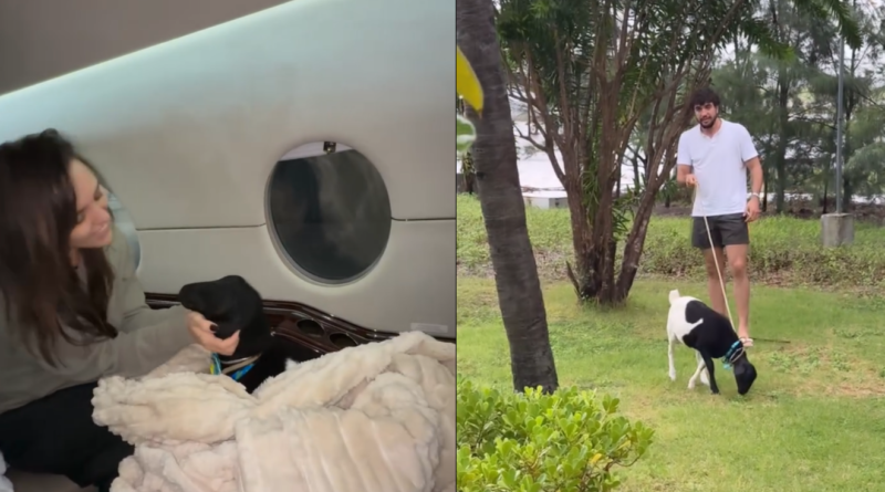 Rafa Kalimann erra animal e web reage: é bode ou carneiro?