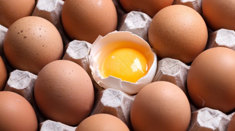 Festa do Ovo de Bastos (SP) é cancelada por causa da ameaça de gripe aviária