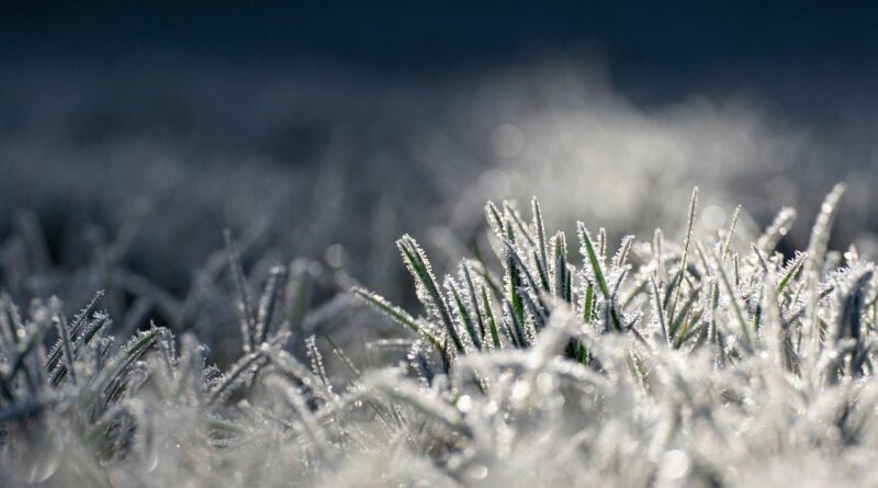 Climatempo alerta para frio, geada e temporais; veja o que esperar do tempo hoje