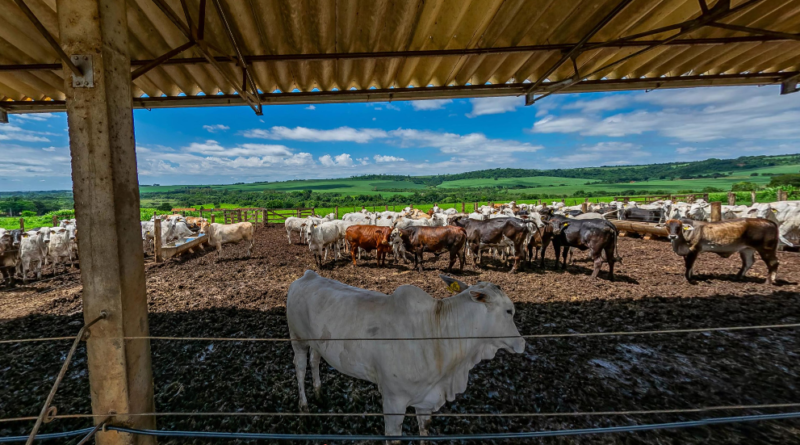 Curso técnico gratuito sobre agropecuária abre vagas remanescentes em SP