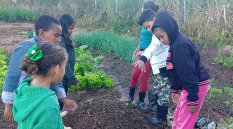 Horta escolar fortalece educação empreendedora em escola quilombola em MG