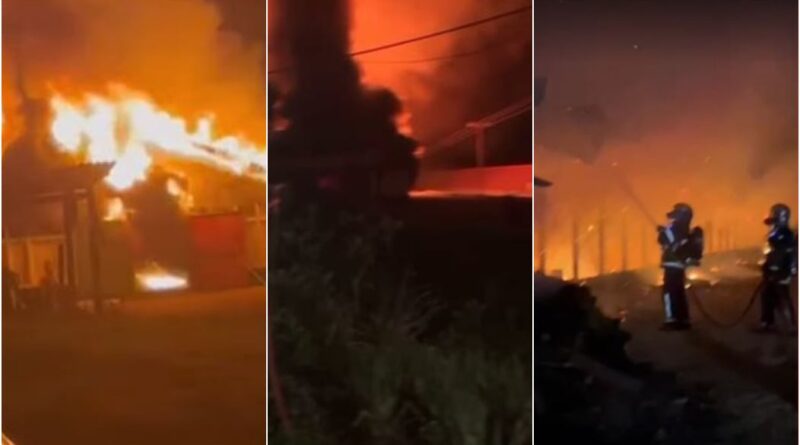 Incêndio em aviário mata 21 mil pintinhos no Paraná