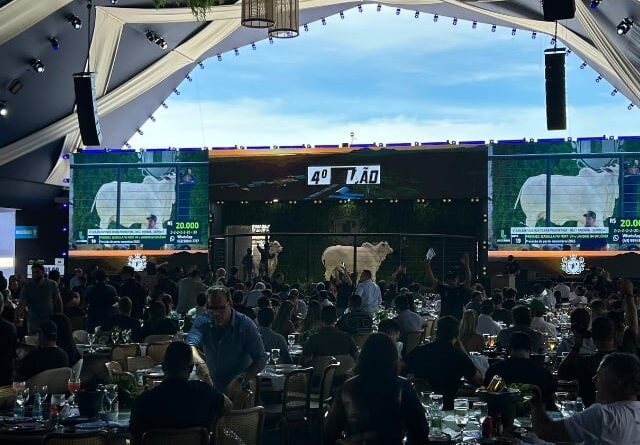 7 espaços que toda fazenda precisa para sediar leilões de sucesso