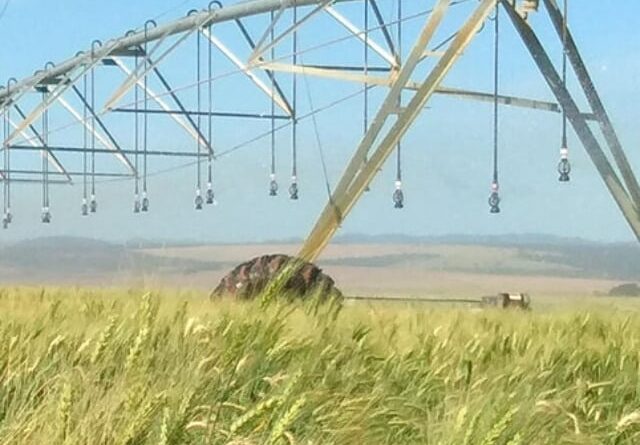 Nova regra amplia uso do Zarc e reforça gestão de risco