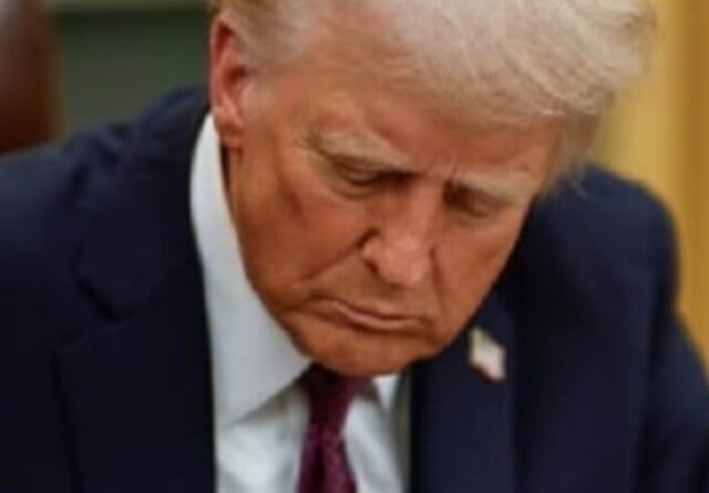 Tarifaço de Trump: açúcar, café e suco de laranja são alguns dos produtos afetados