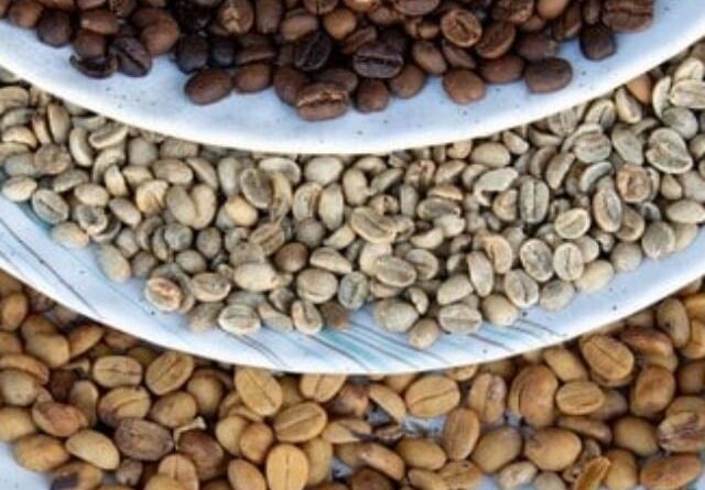 Tarifas e o café brasileiro: como o setor pode se adaptar a um novo cenário?