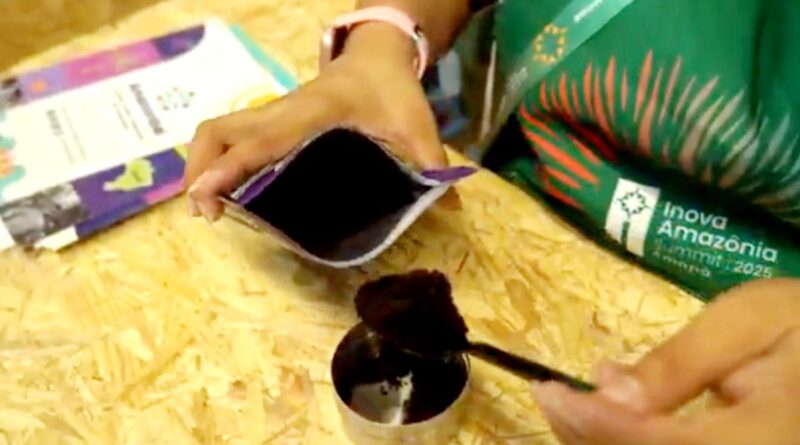 Cooperativa do Amapá investe em 'açaí em pó' para conquistar mercados