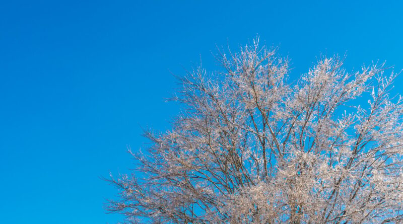 Nova onda de frio? Saiba como fica o tempo daqui a outubro