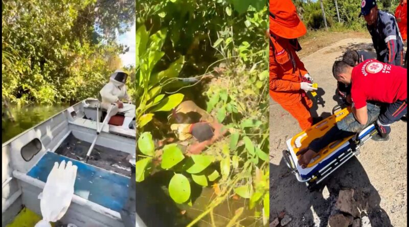 Bombeiros resgatam jovem atacado por abelhas durante pescaria