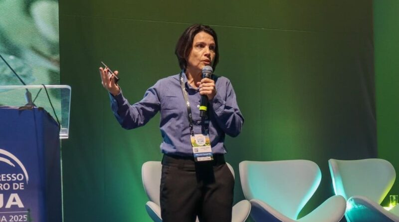 doenças e estratégias de combate são apresentadas em painel