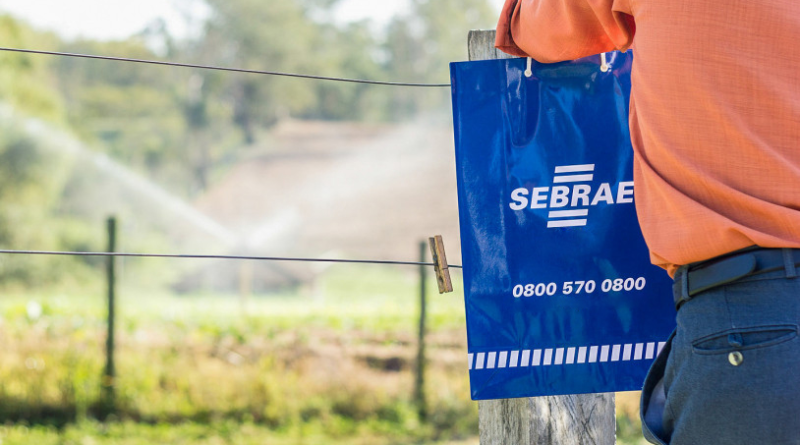 Homem segurando uma sacola do Sebrae e está olhando para o campo