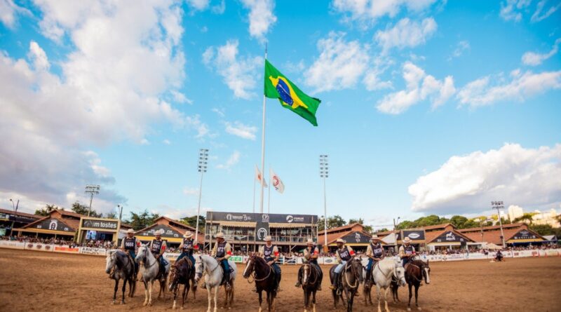 Exposição Nacional do Mangalarga Marchador reúne mais de 1.600 cavalos em BH