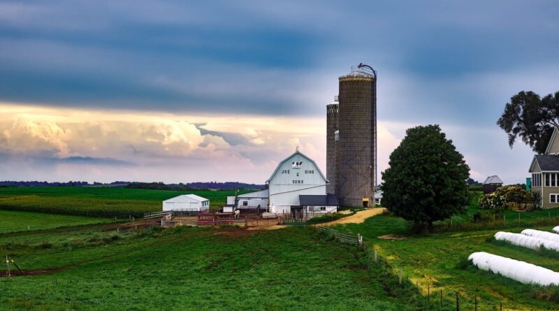 Fazenda ou empresa? ESG, sustentabilidade e o futuro do agro