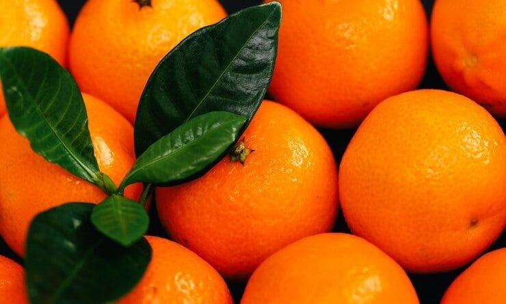 tangerina ponkan - cerro azul