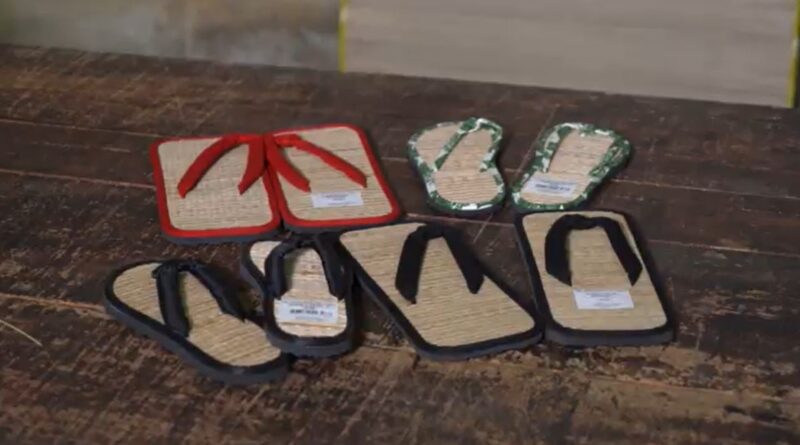 Produção de junco valoriza cultura japonesa e impulsiona turismo rural