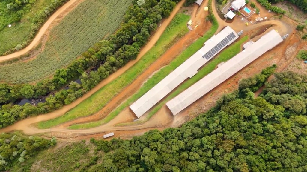 Família Fuelber e 40 anos de avicultura em SC | Interligados - Canal Rural
