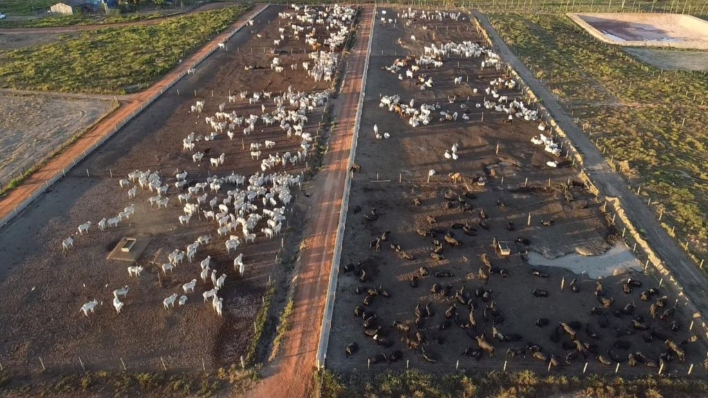 Vista aérea do sítio Shofar. Foto: Matheus Roz